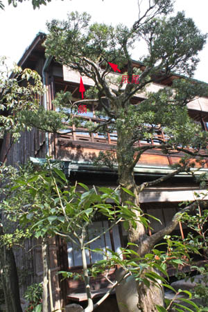 e0156015_1394448.jpg