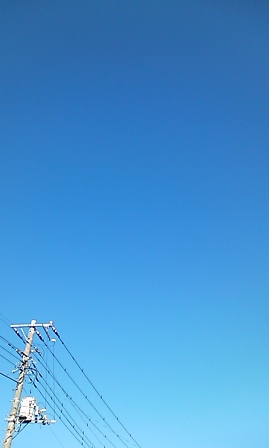 c0140616_12583369.jpg
