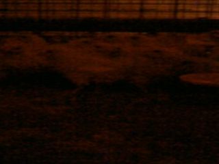 c0226317_21134825.jpg