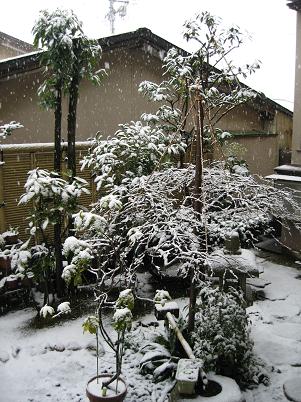 e0019117_7591450.jpg