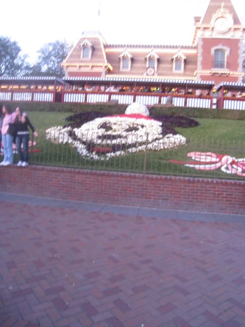 c0159828_8451680.jpg
