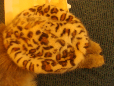 e0157129_17375012.jpg