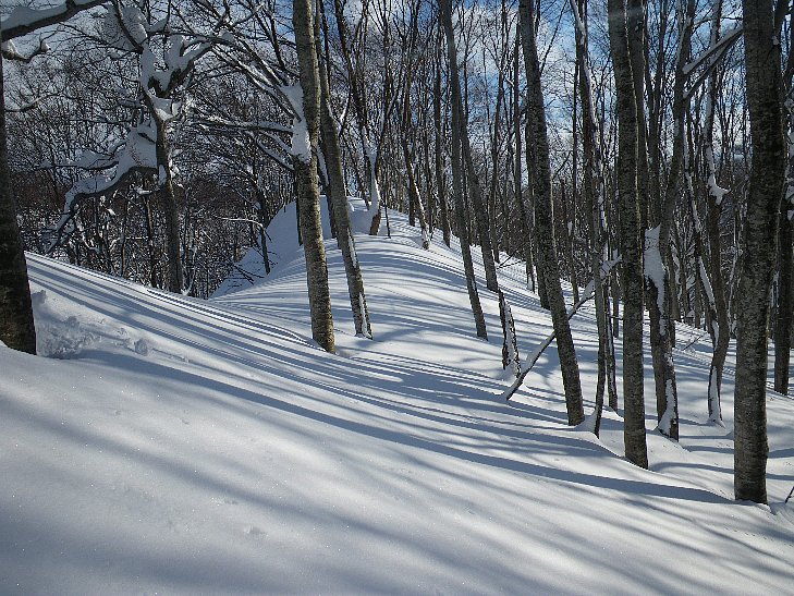 f0118332_1411394.jpg