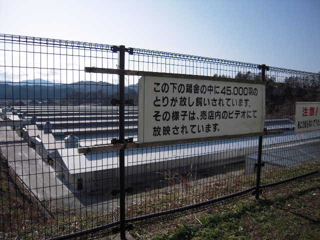 b0025633_2143146.jpg