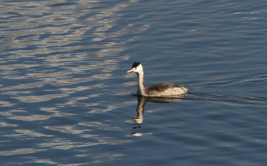 c0172139_14013.jpg