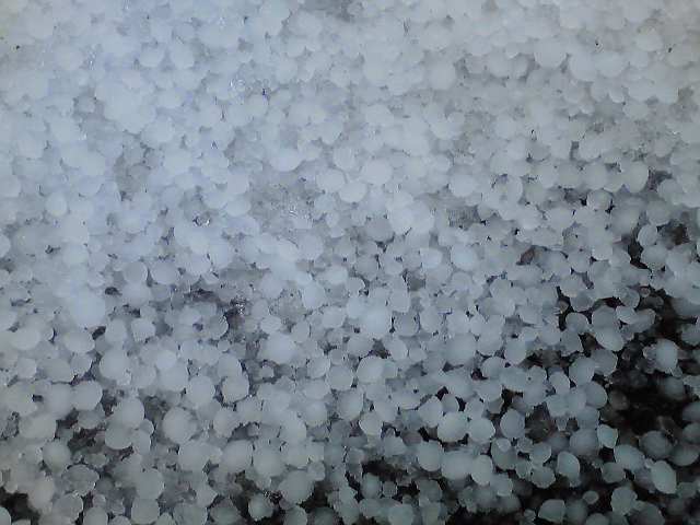a0125343_0141412.jpg