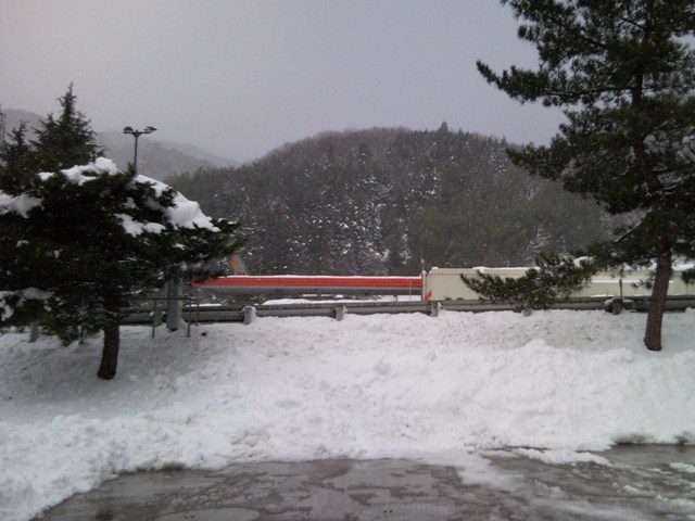 e0150843_173558.jpg