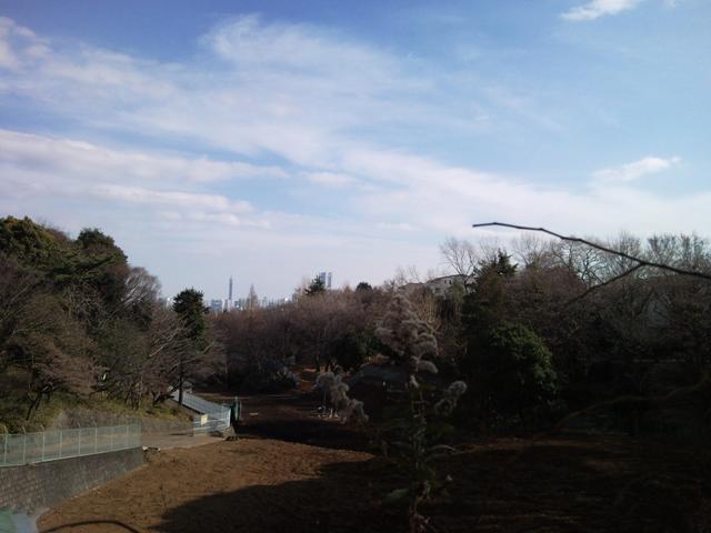 e0150843_1854986.jpg