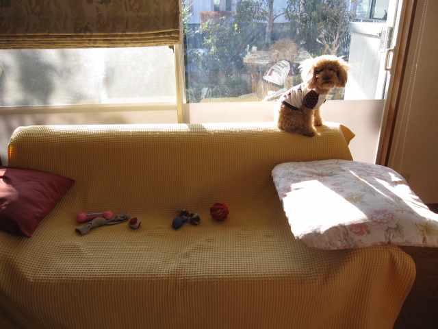 c0122744_8584256.jpg