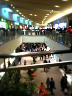c0164744_165915.jpg