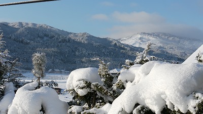 c0220047_938518.jpg