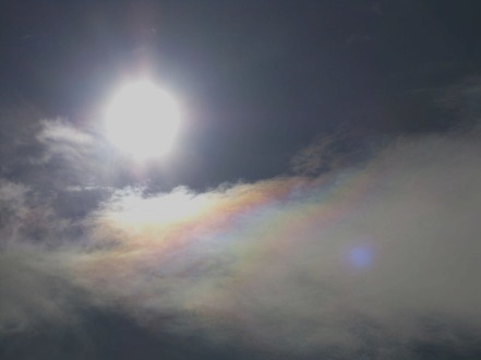b0173754_15581912.jpg