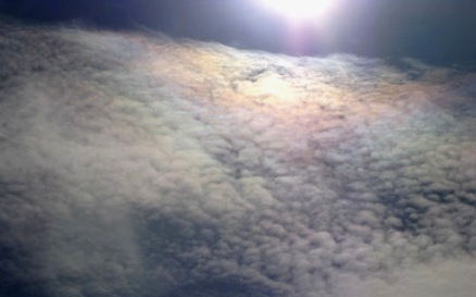 b0173754_15583228.jpg
