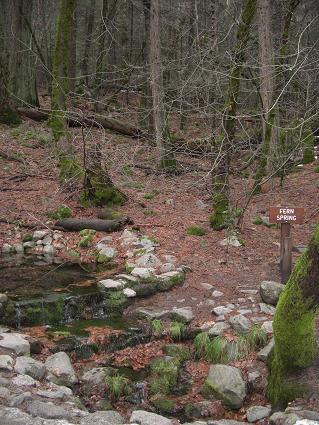 f0142862_2015486.jpg