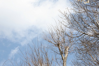 e0159865_64584.jpg