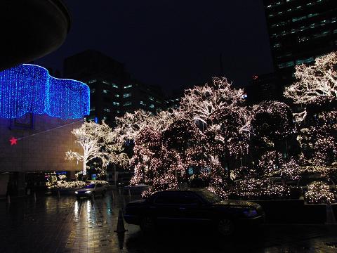 c0127366_0351896.jpg