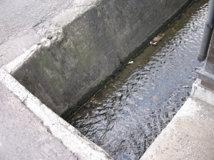 e0002466_19391051.jpg