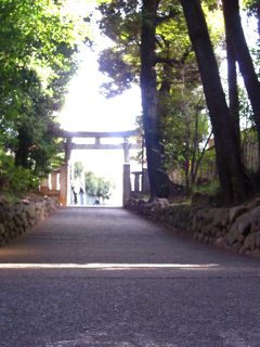 d0008073_23412272.jpg