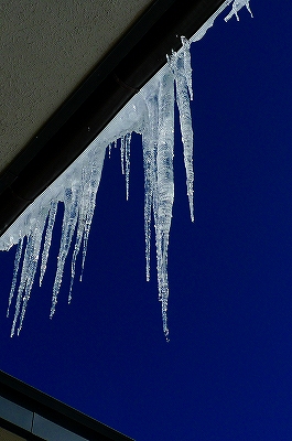 f0182173_11584721.jpg