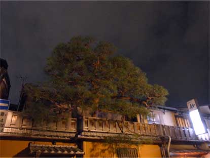完全個室日本橋のヘアサロン艶出専科スタッフが行くお正月の京都花見小路