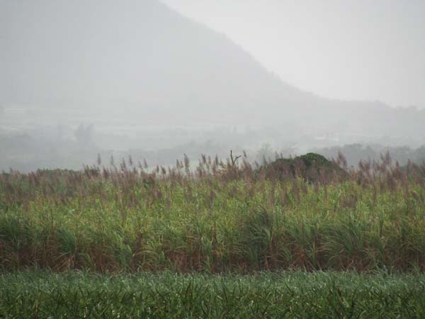 c0064389_2036386.jpg