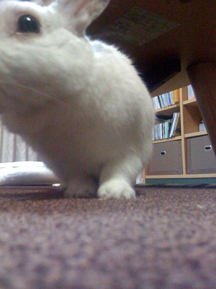 f0201191_23134669.jpg