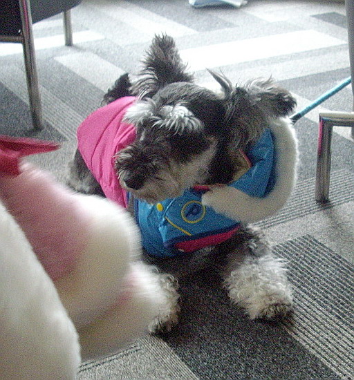 c0138198_16422423.jpg