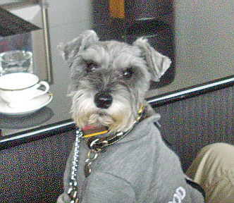 c0138198_16511313.jpg
