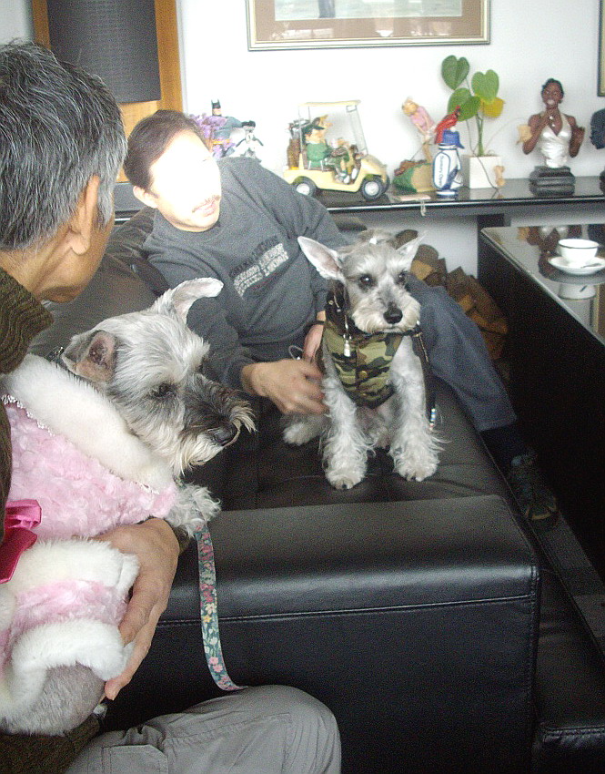 c0138198_1705775.jpg