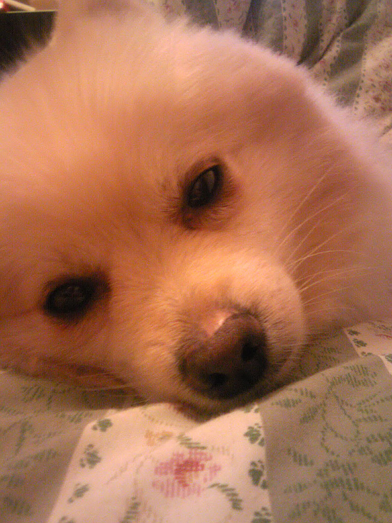 c0138198_17261312.jpg