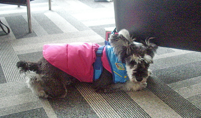 c0138198_17315984.jpg