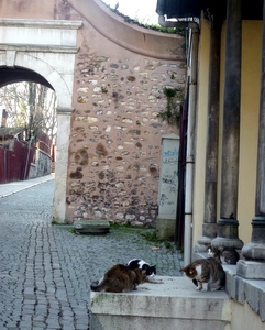 c0148705_1844673.jpg