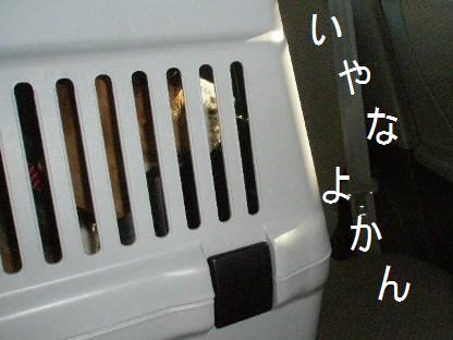 c0205806_2124750.jpg