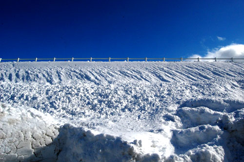 d0015006_9453419.jpg