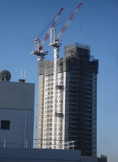 f0084806_822442.jpg