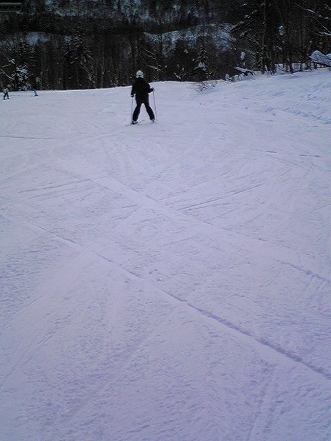 d0050007_2020443.jpg