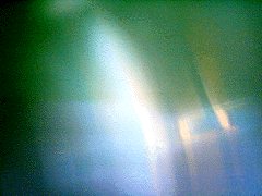 e0103408_1356438.gif