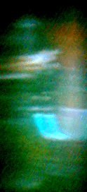 e0103408_1414619.gif