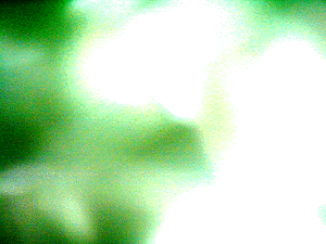 e0103408_144427.gif