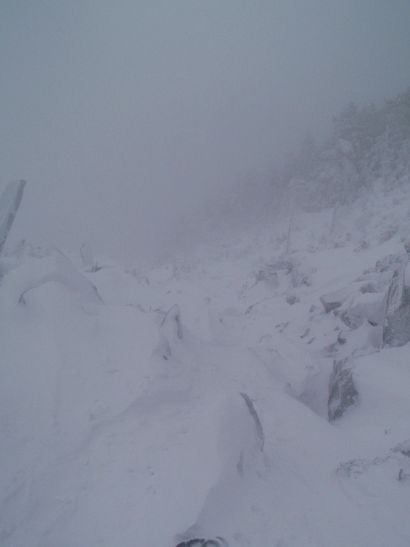 c0177814_2014834.jpg