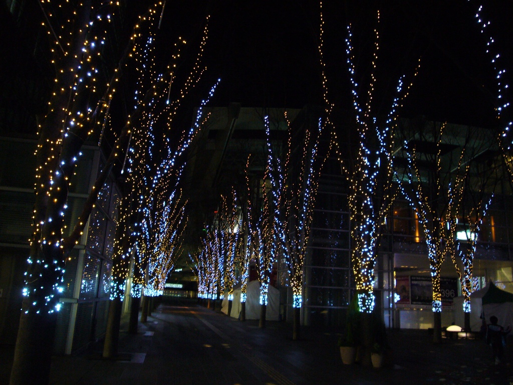 c0169419_15572563.jpg