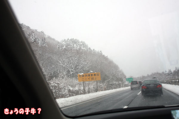f0203423_14455917.jpg