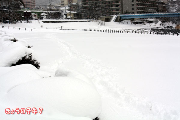 f0203423_14461588.jpg