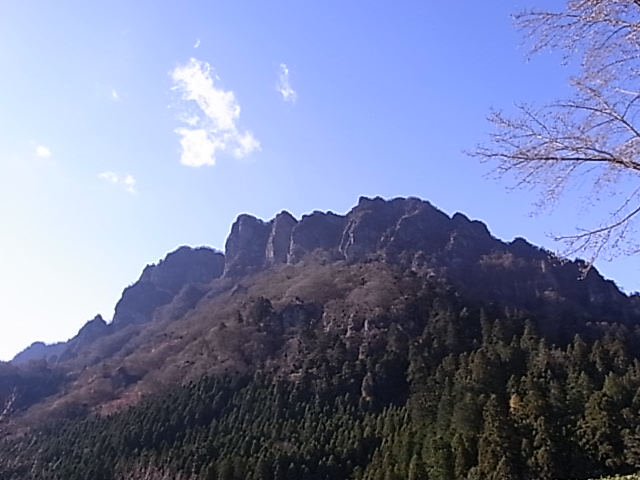 d0111124_23225591.jpg