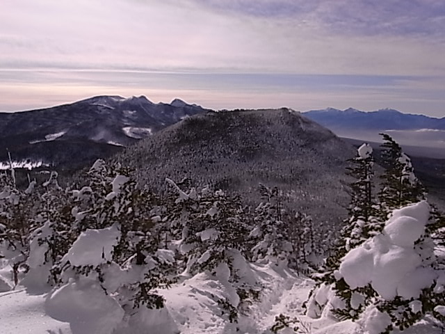 d0111124_23324792.jpg