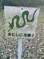 d0000025_15192168.jpg