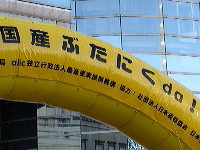 d0107326_22581691.jpg
