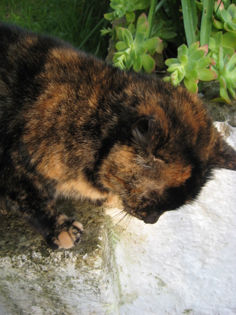 d0147727_23201489.jpg