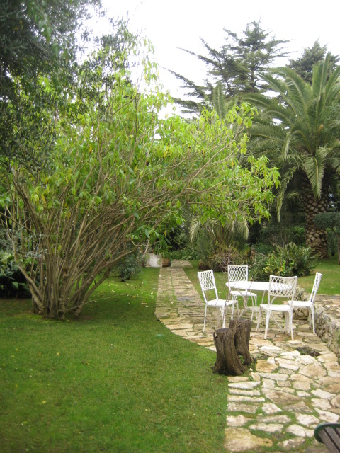 d0147727_2342555.jpg