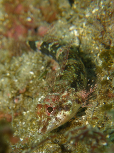 c0034029_7185610.jpg